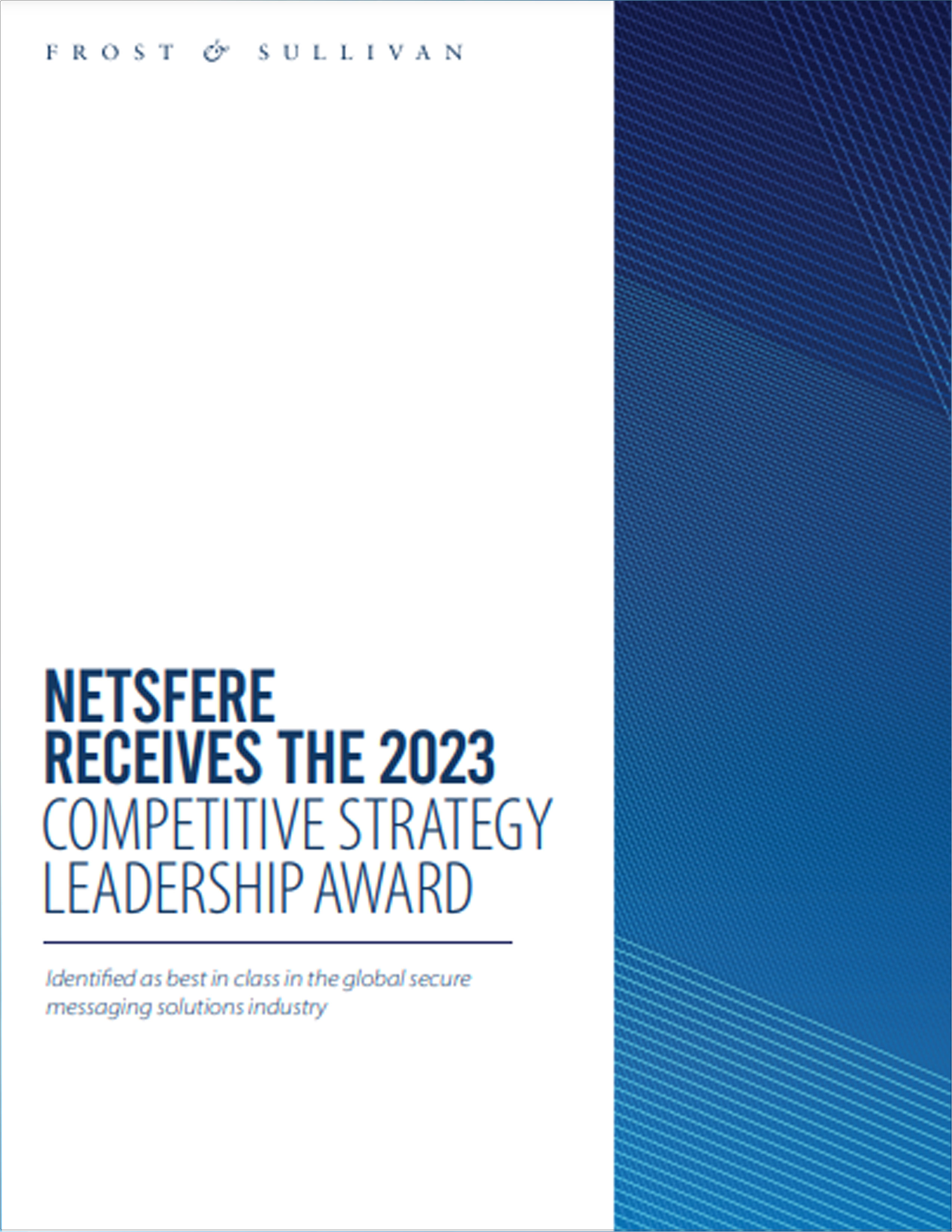 NetSfere-Award